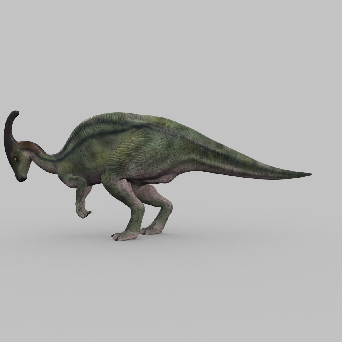 Parasaurolophus 8192 HD - 3d animated model Low-poly 3D model_24