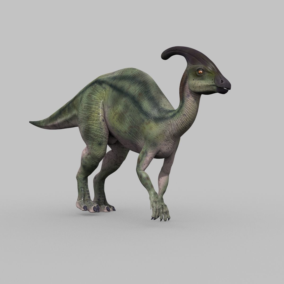 Parasaurolophus 8192 HD - 3d animated model Low-poly 3D model_19