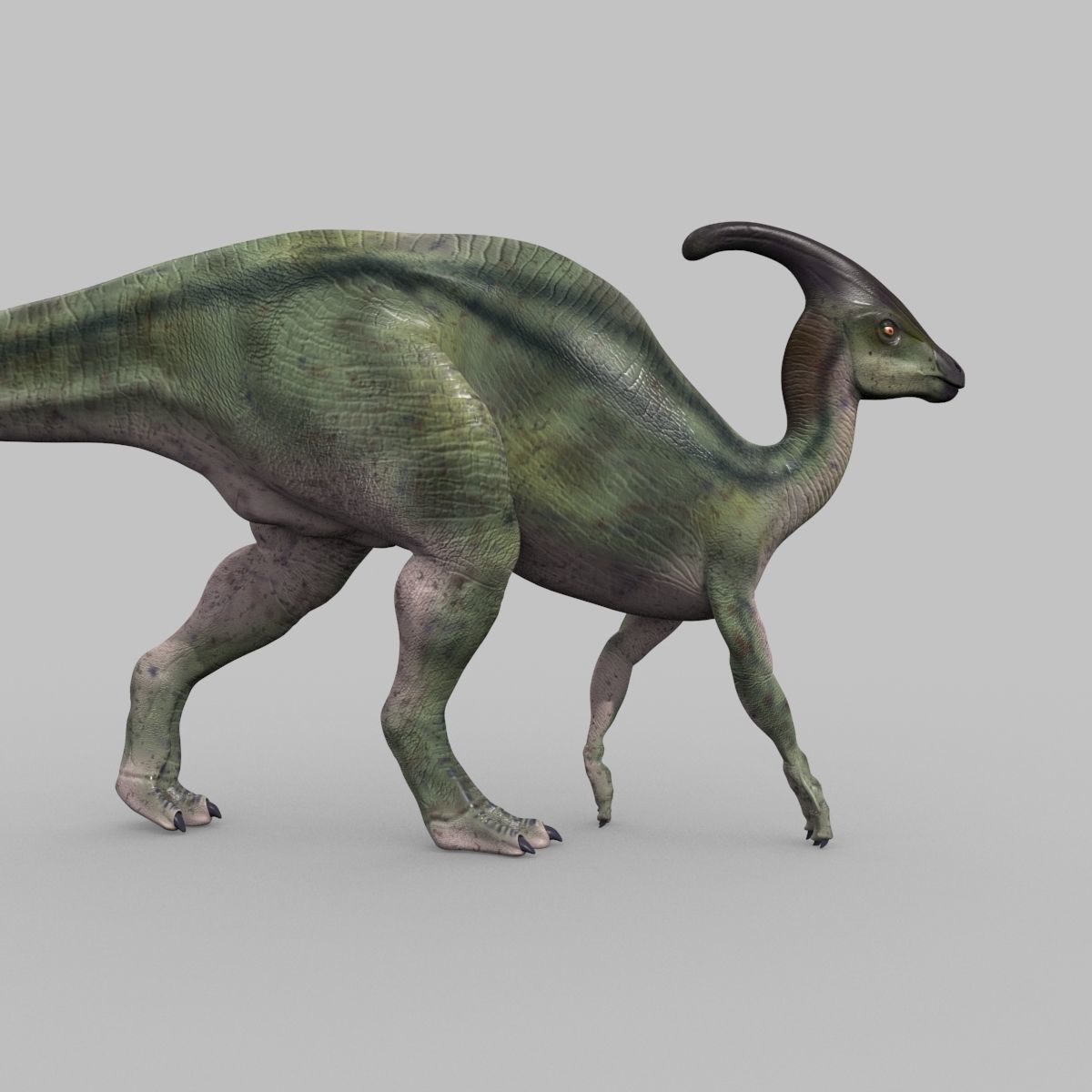 Parasaurolophus 8192 HD - 3d animated model Low-poly 3D model_17
