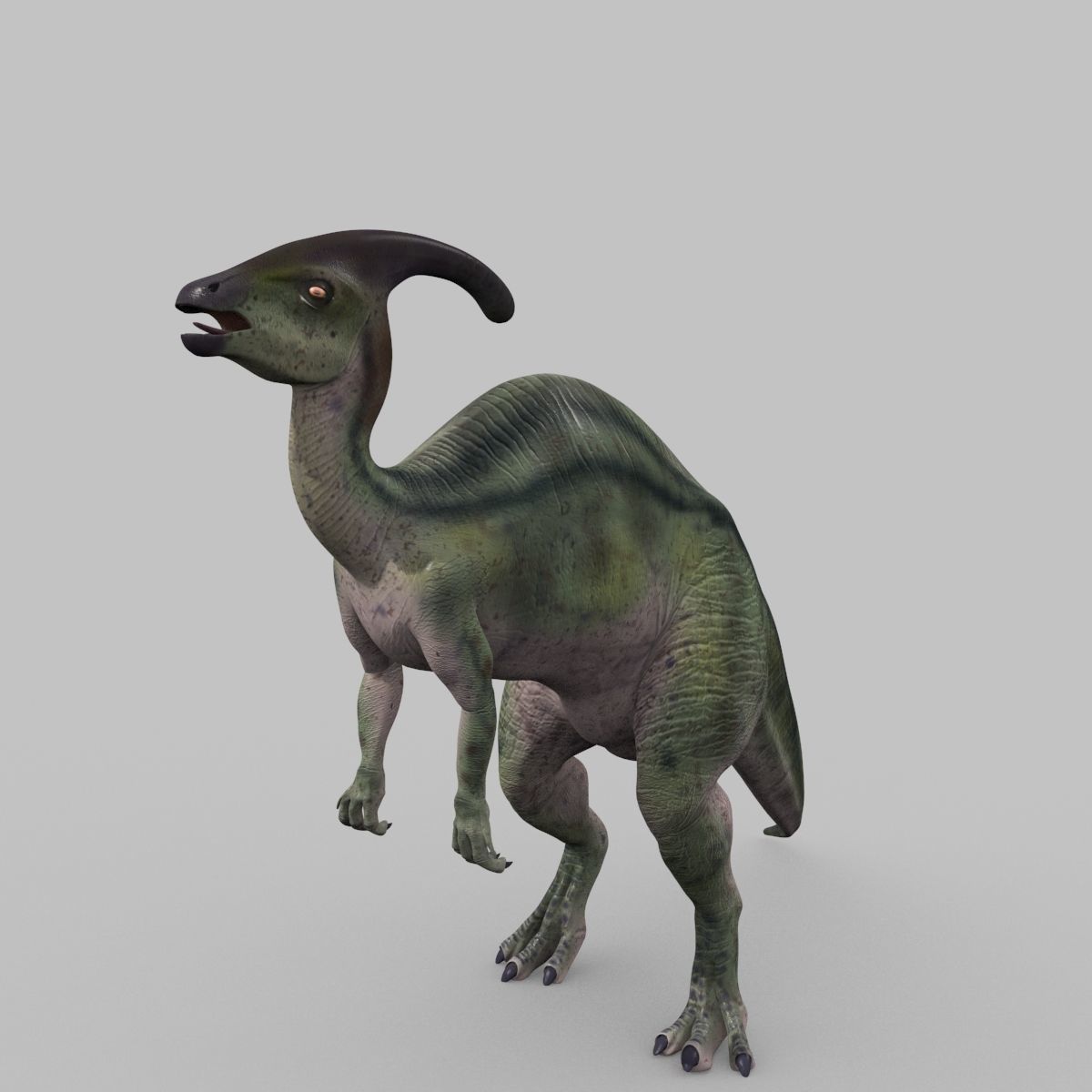 Parasaurolophus 8192 HD - 3d animated model Low-poly 3D model_12