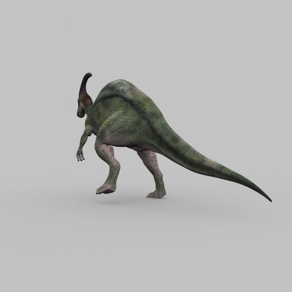 Parasaurolophus 8192 HD - 3d animated model Low-poly 3D model_23