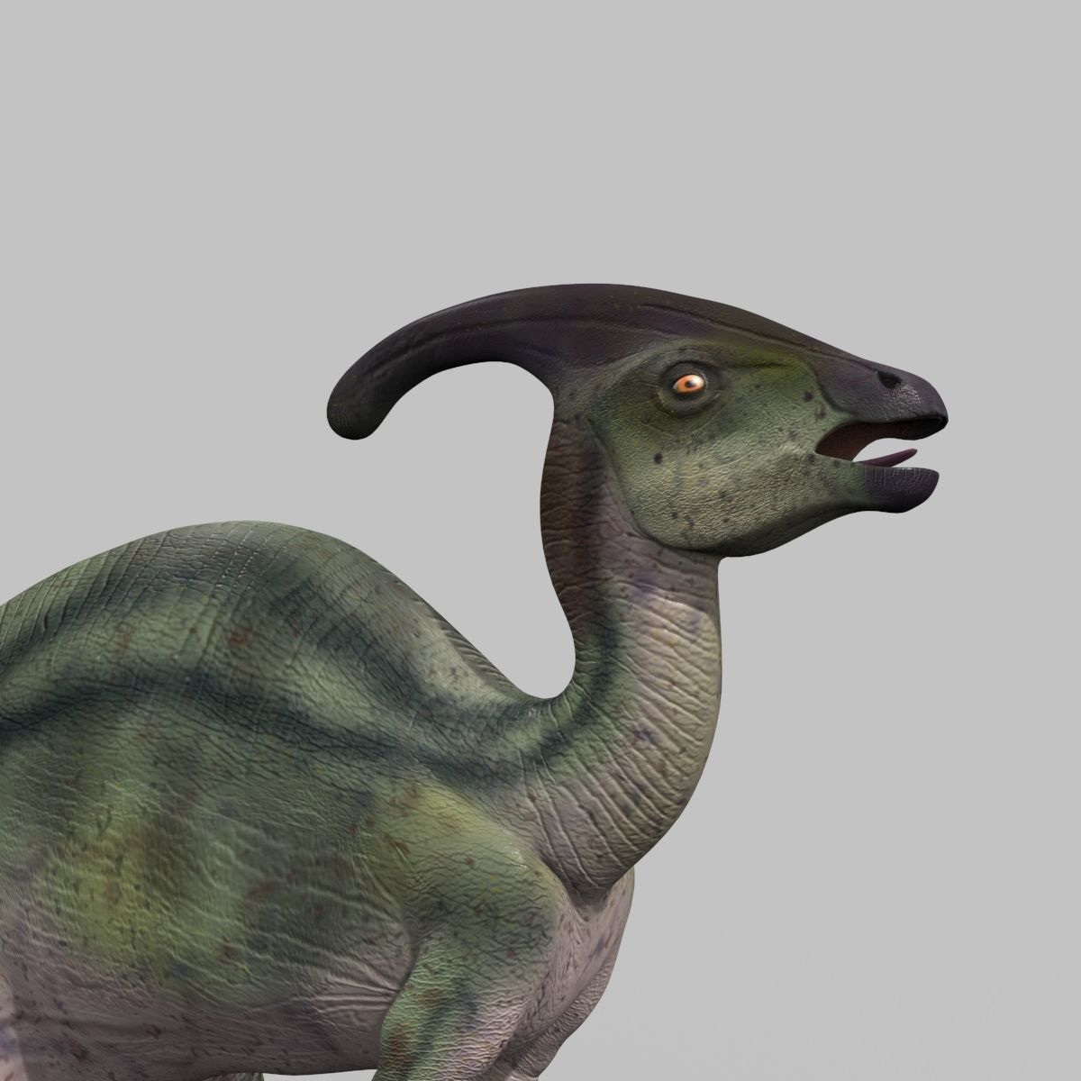 Parasaurolophus 8192 HD - 3d animated model Low-poly 3D model_11