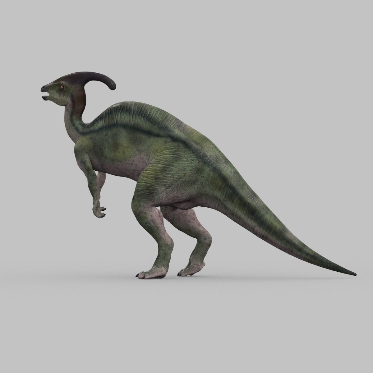 Parasaurolophus 8192 HD - 3d animated model Low-poly 3D model_26