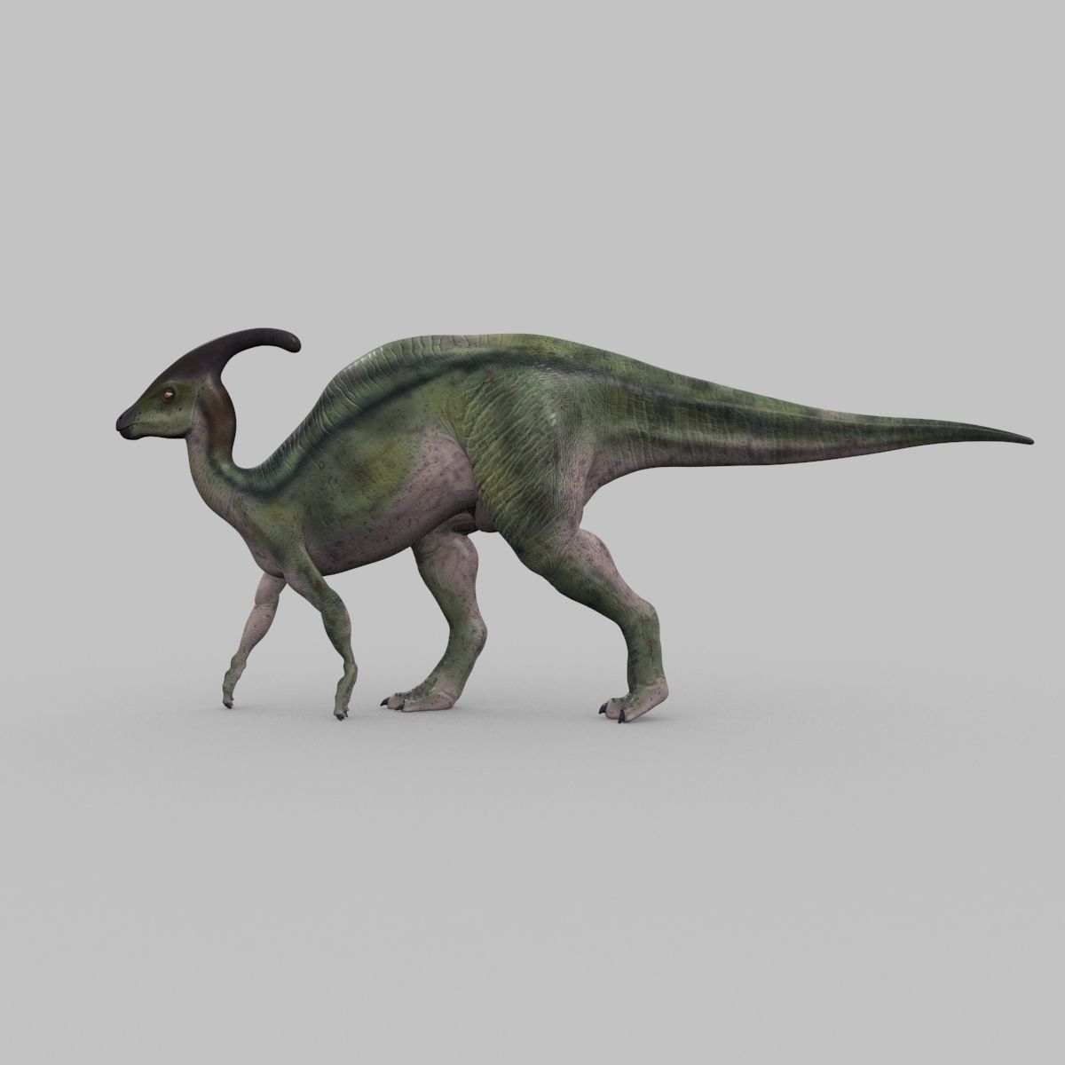 Parasaurolophus 8192 HD - 3d animated model Low-poly 3D model_13