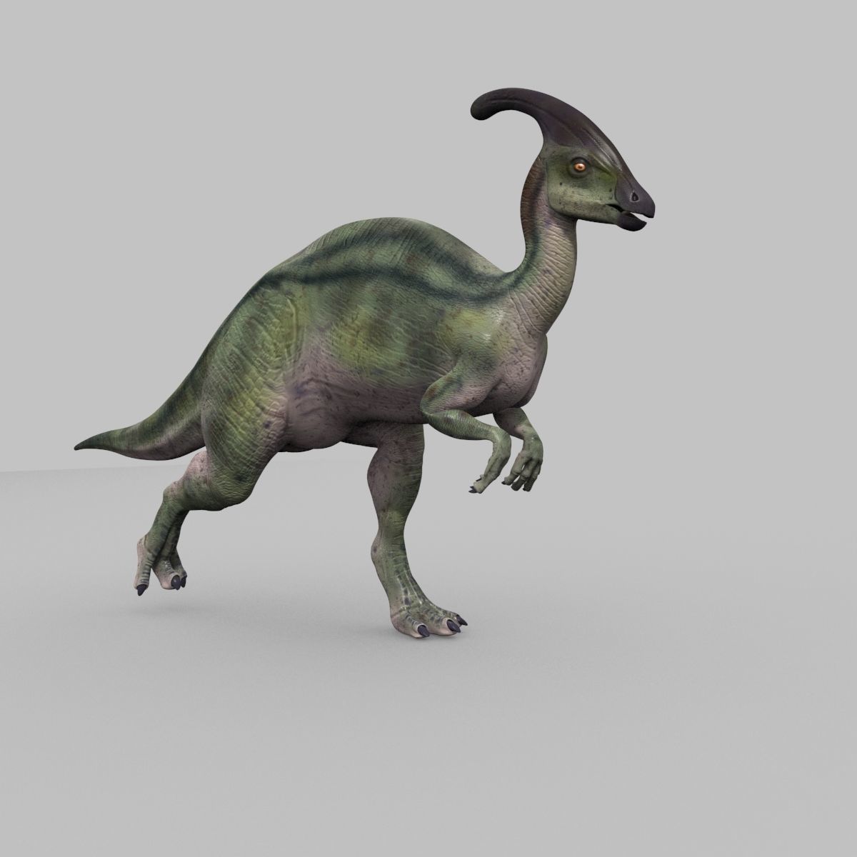 Parasaurolophus 8192 HD - 3d animated model Low-poly 3D model_8