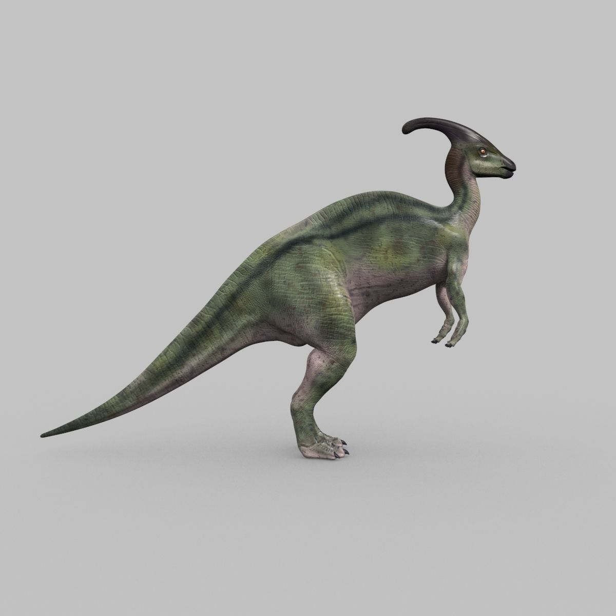 Parasaurolophus 8192 HD - 3d animated model Low-poly 3D model_10