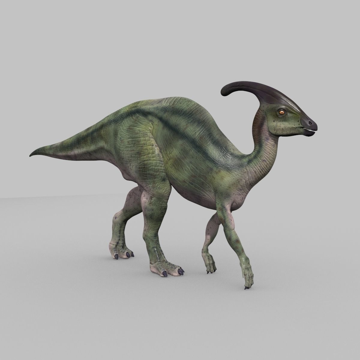 Parasaurolophus 8192 HD - 3d animated model Low-poly 3D model_7