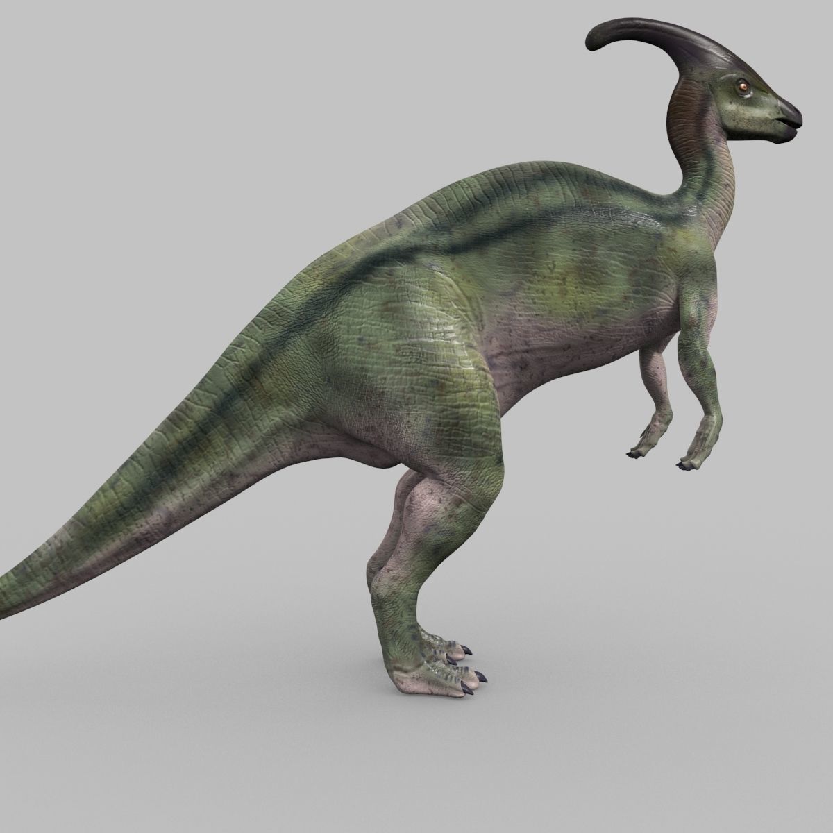 Parasaurolophus 8192 HD - 3d animated model Low-poly 3D model_9