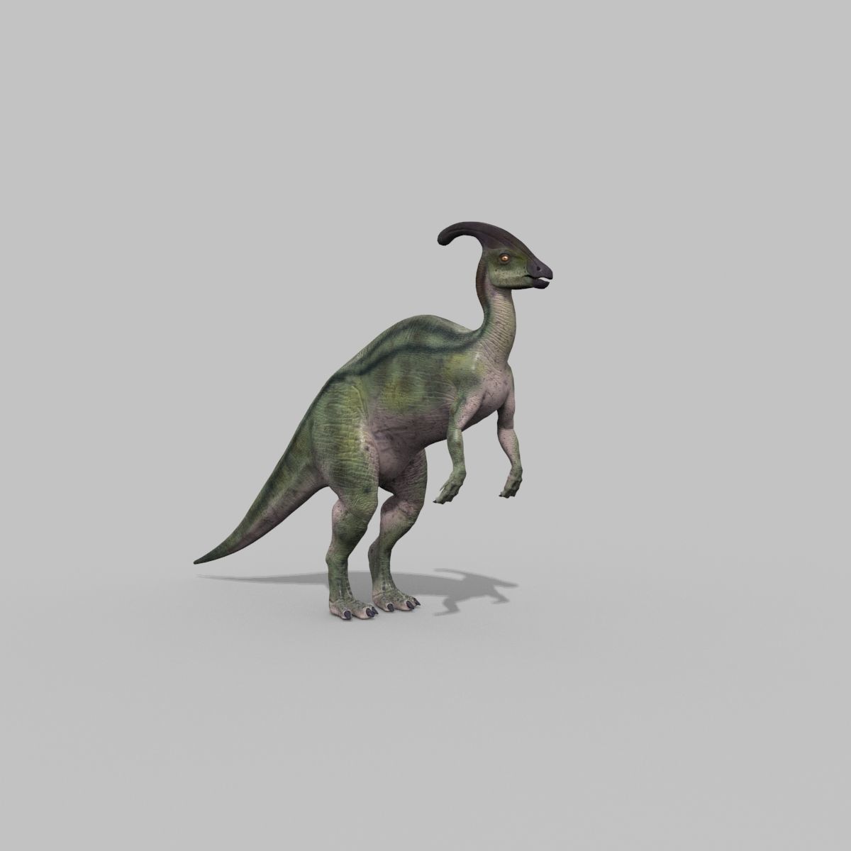 Parasaurolophus 8192 HD - 3d animated model Low-poly 3D model_30