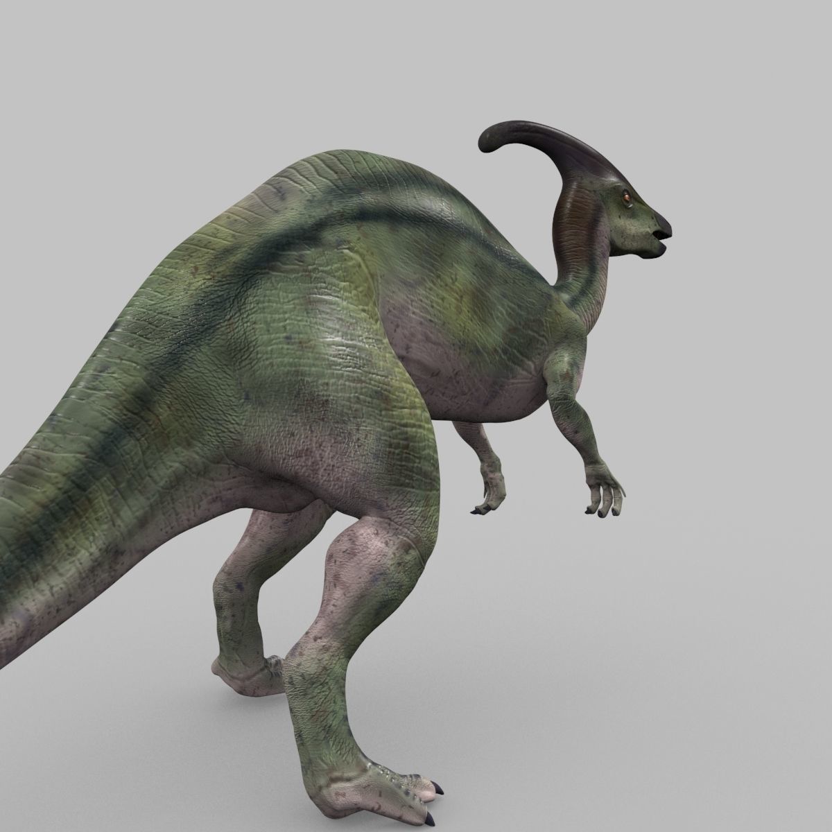 Parasaurolophus 8192 HD - 3d animated model Low-poly 3D model_14