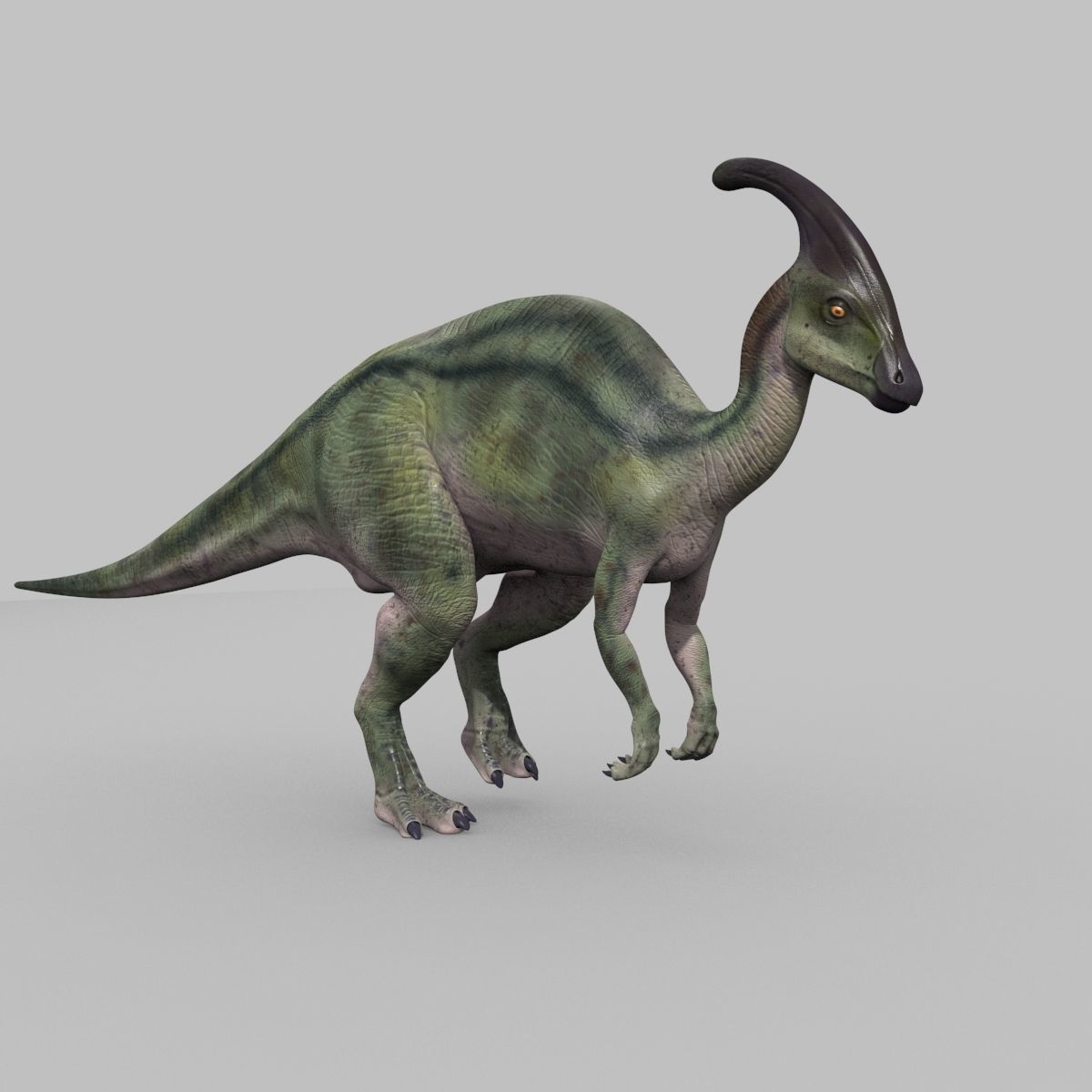 Parasaurolophus 8192 HD - 3d animated model Low-poly 3D model_6