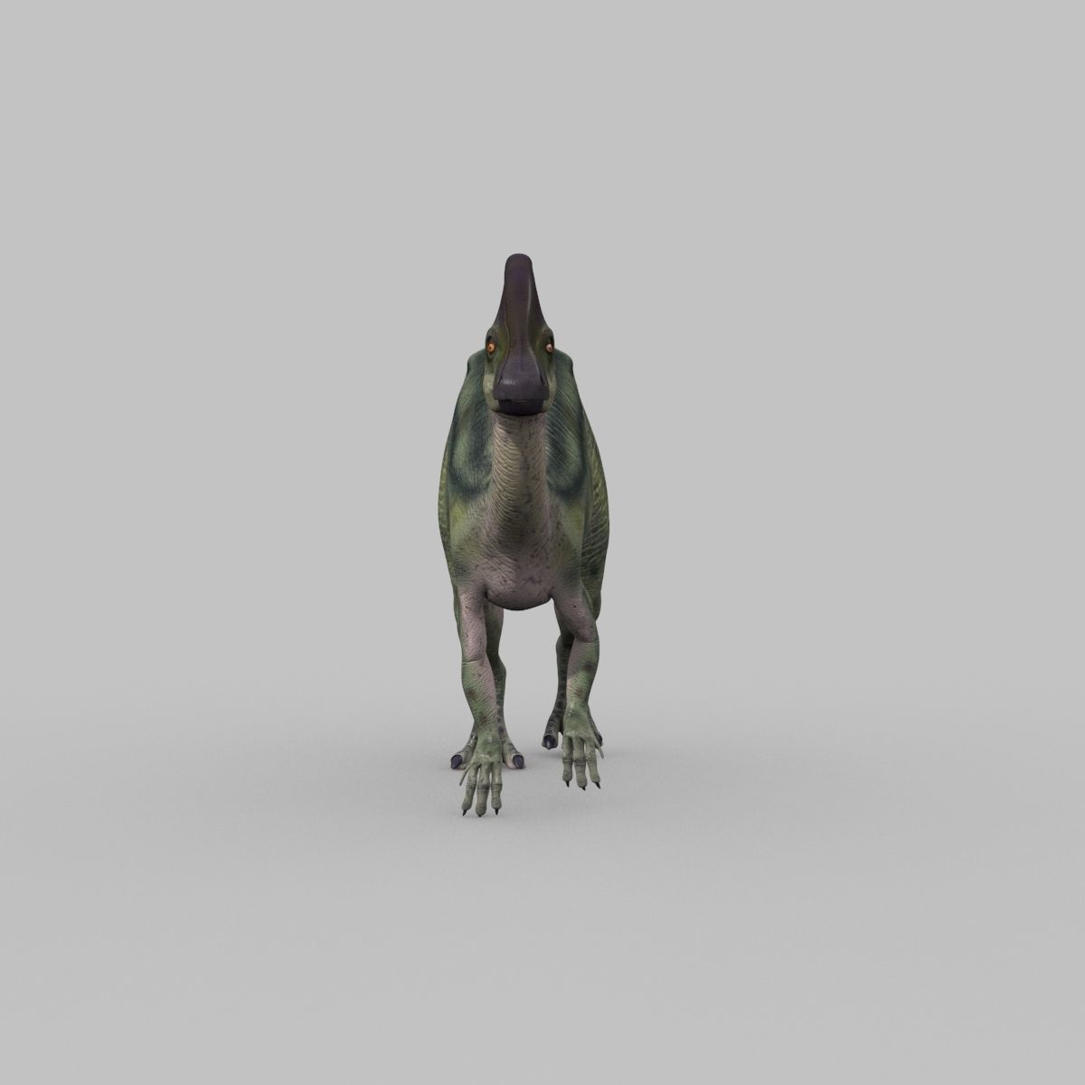 Parasaurolophus 8192 HD - 3d animated model Low-poly 3D model_20