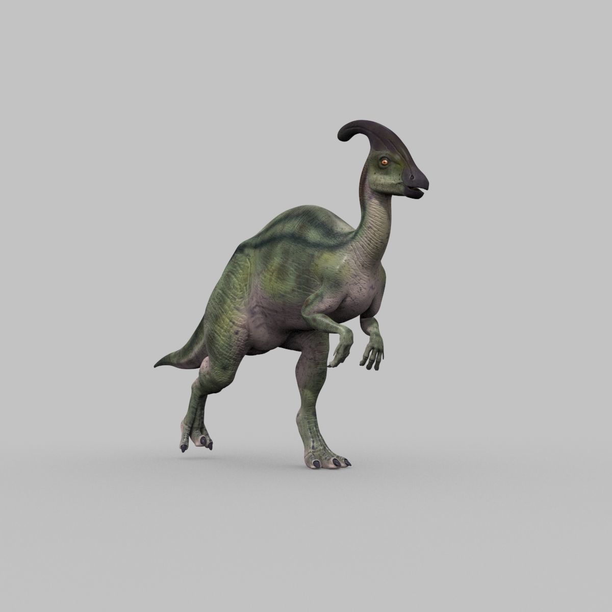 Parasaurolophus 8192 HD - 3d animated model Low-poly 3D model_21