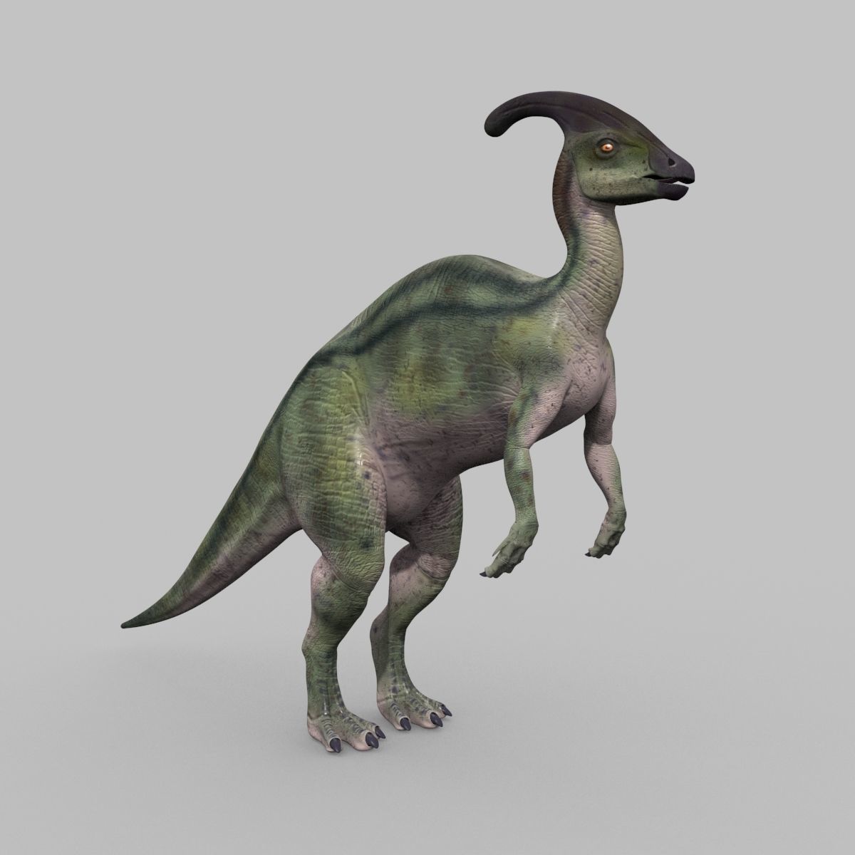 Parasaurolophus 8192 HD - 3d animated model Low-poly 3D model_15