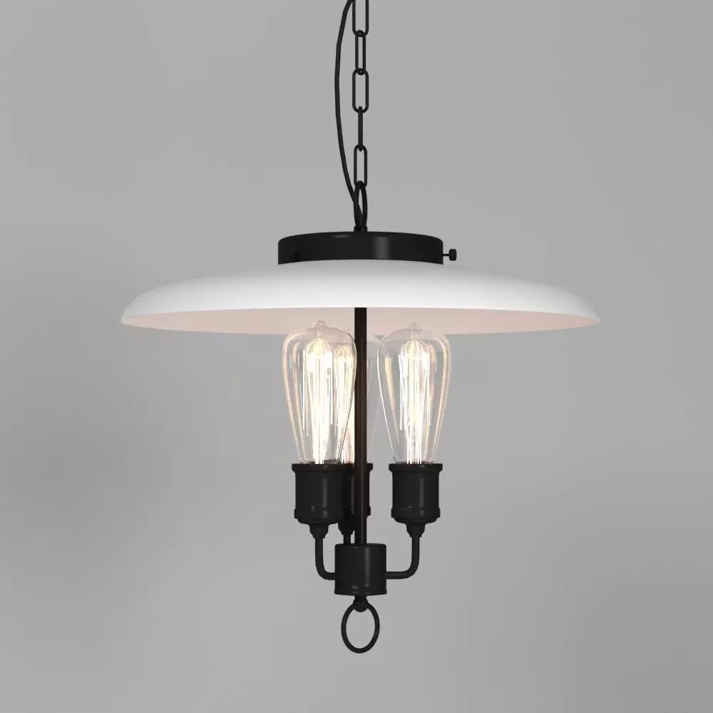 Hanging Lamp LOFT HOUSE P-134 3D model_0
