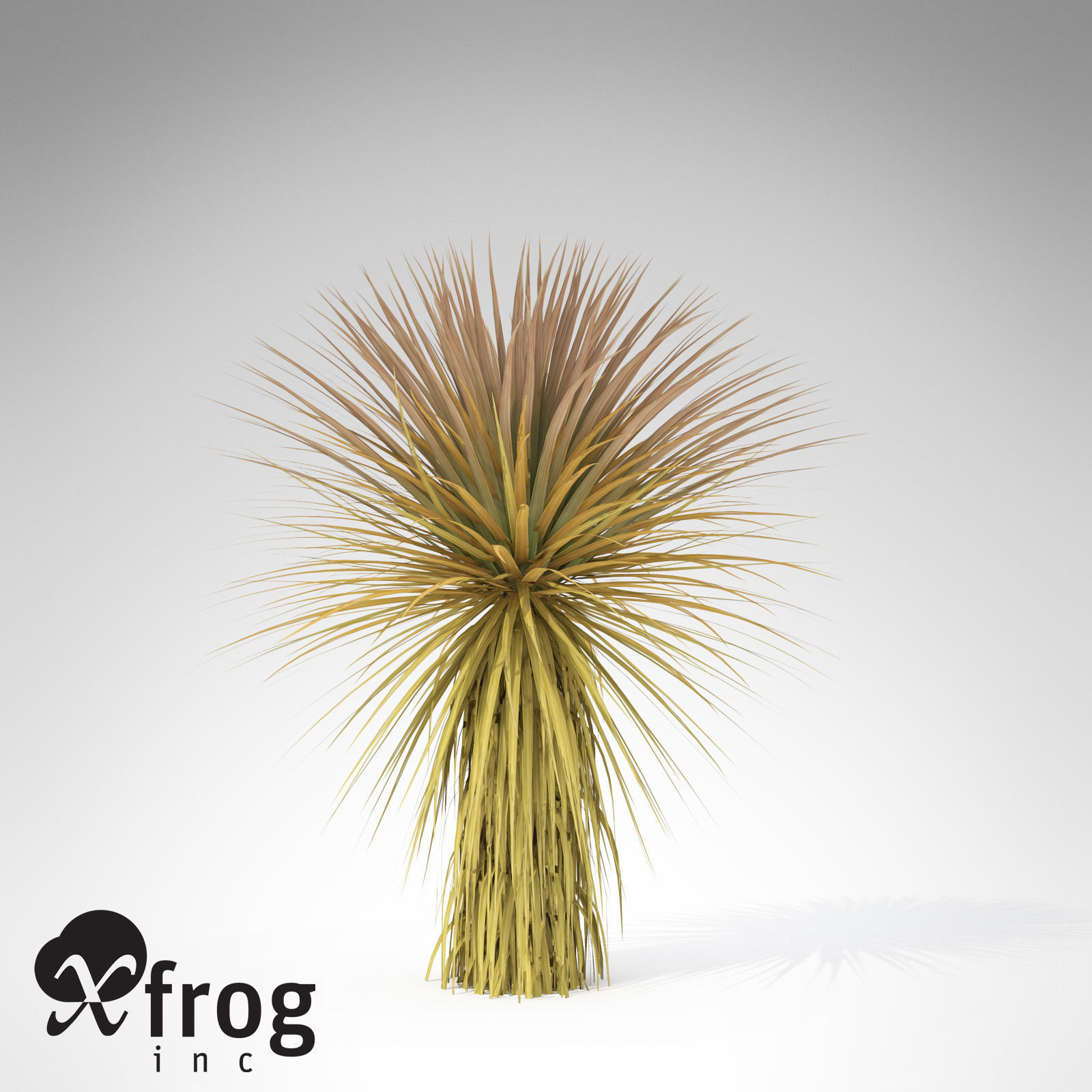 Soaptree Yucca 3D model_2