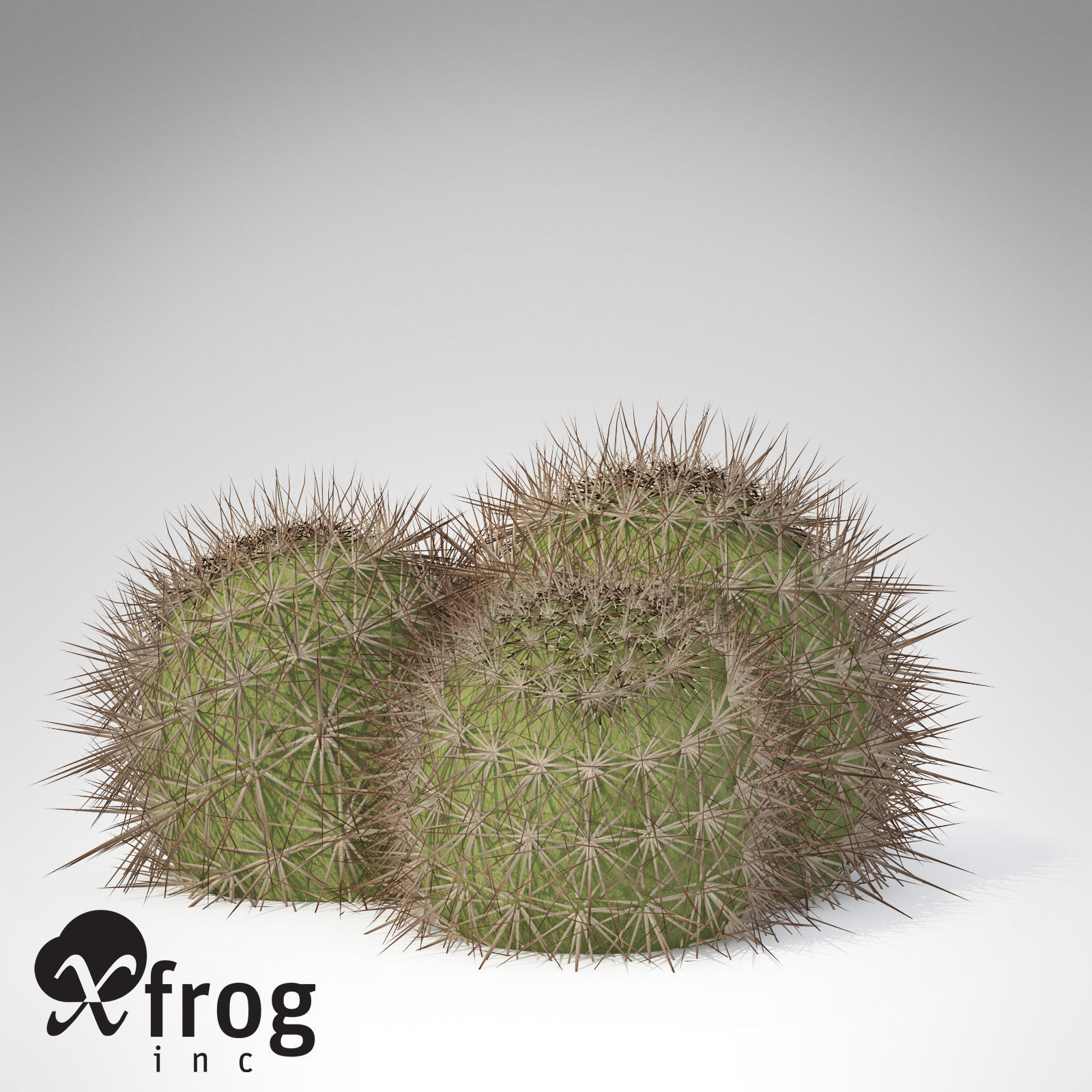 Strawberry Hedgehog 3D model_1