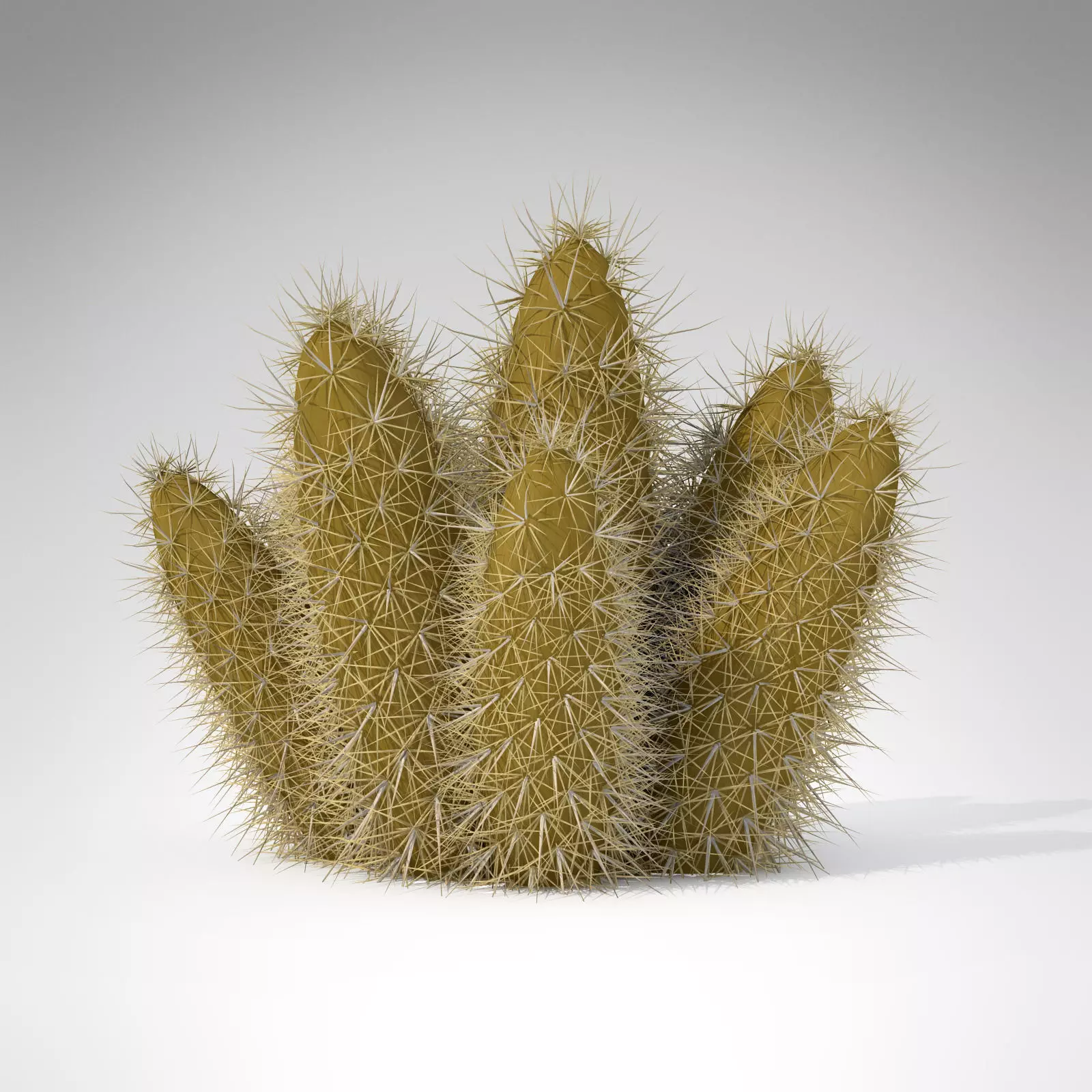 Strawberry Hedgehog 3D model_0