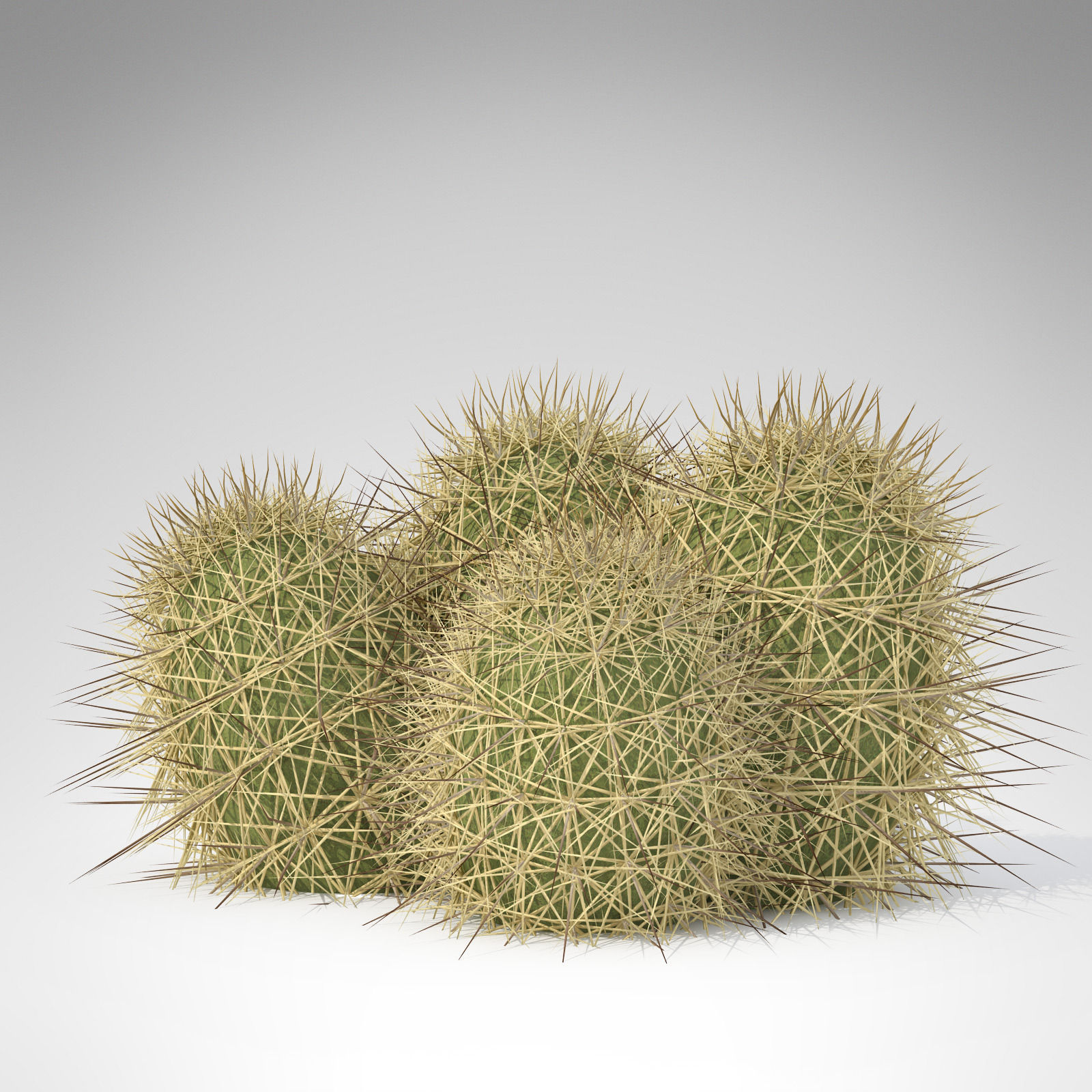 Strawberry Hedgehog 3D model_2