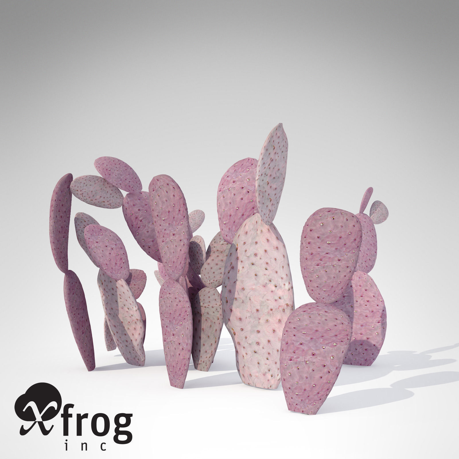 Santa Rita Prickly Pear 3D model_1