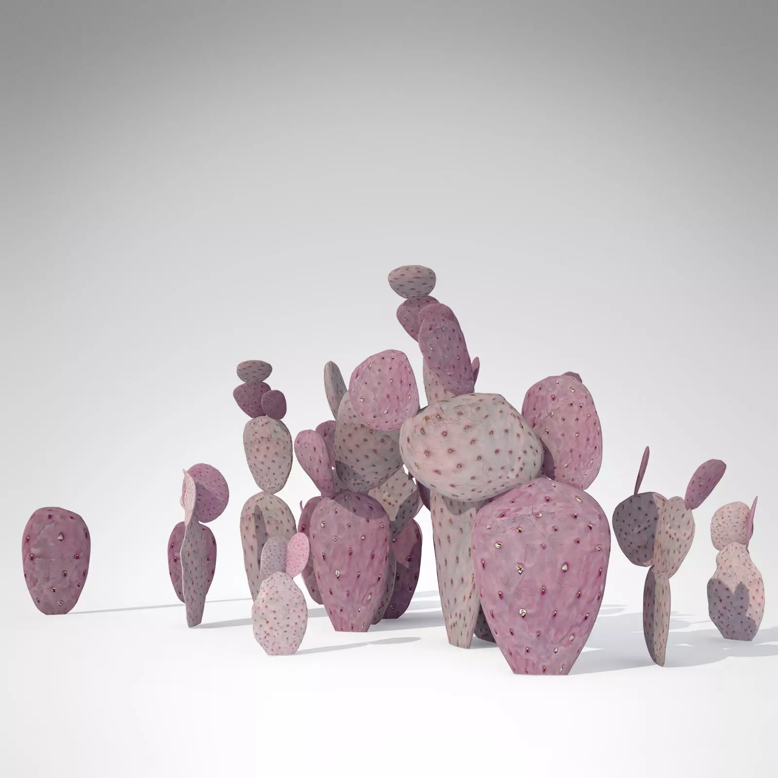 Santa Rita Prickly Pear 3D model_0