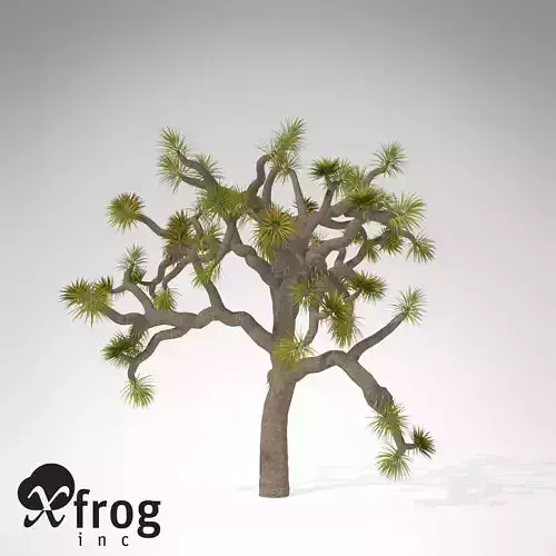 Joshua Tree 3D model
