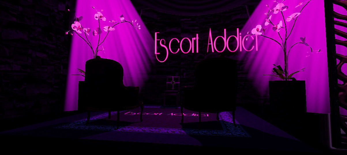 Escort Addict 3D model_2