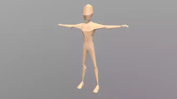 Low Poly rigged character