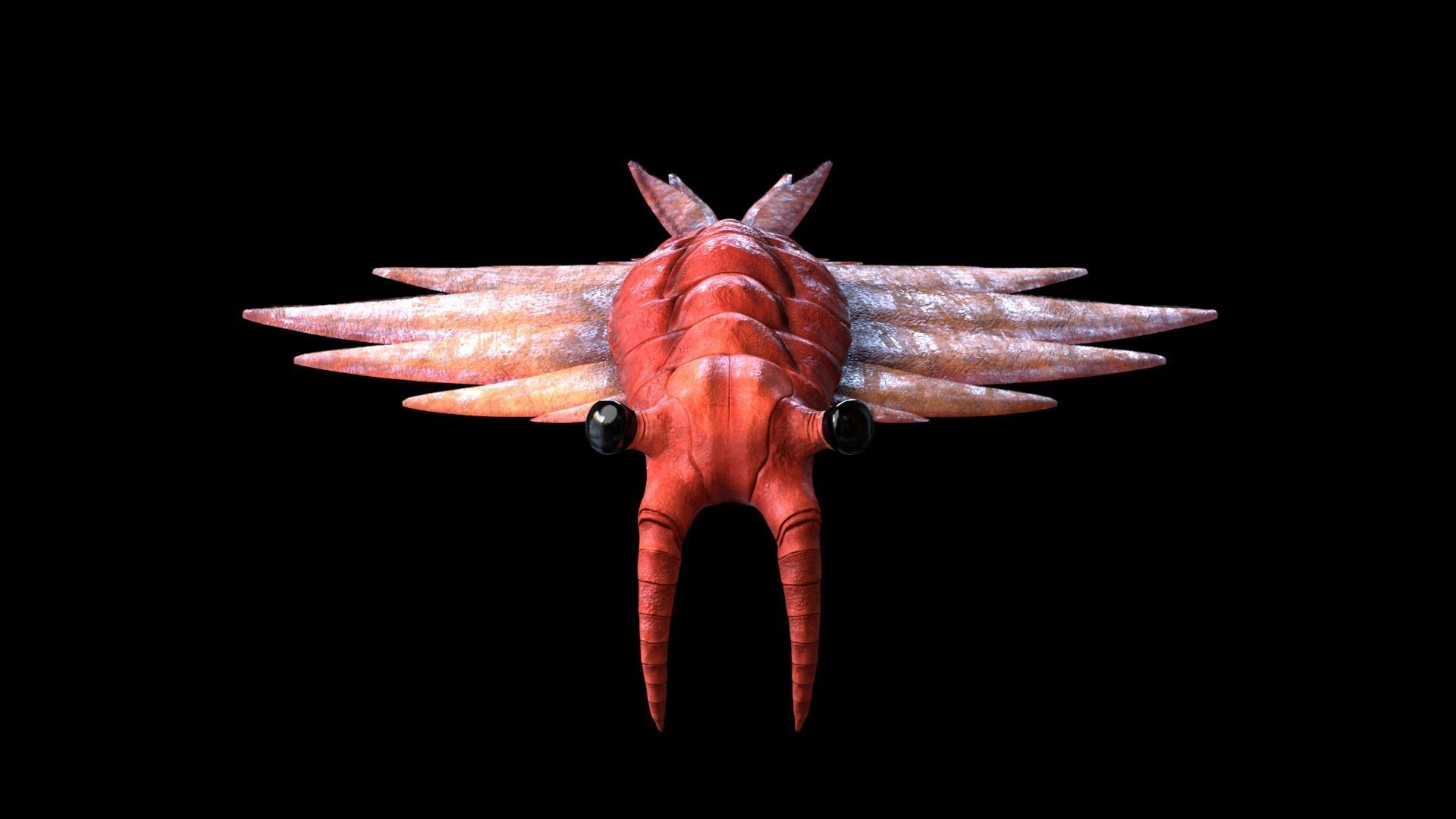 Anomalocaris Canadensis Low-poly 3D model_6
