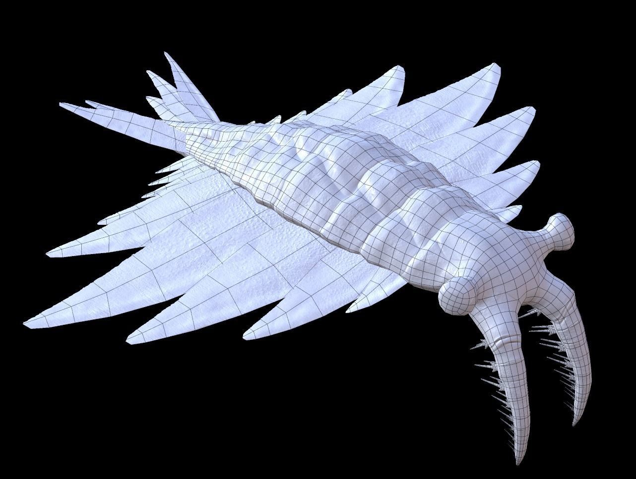 Anomalocaris Canadensis Low-poly 3D model_9