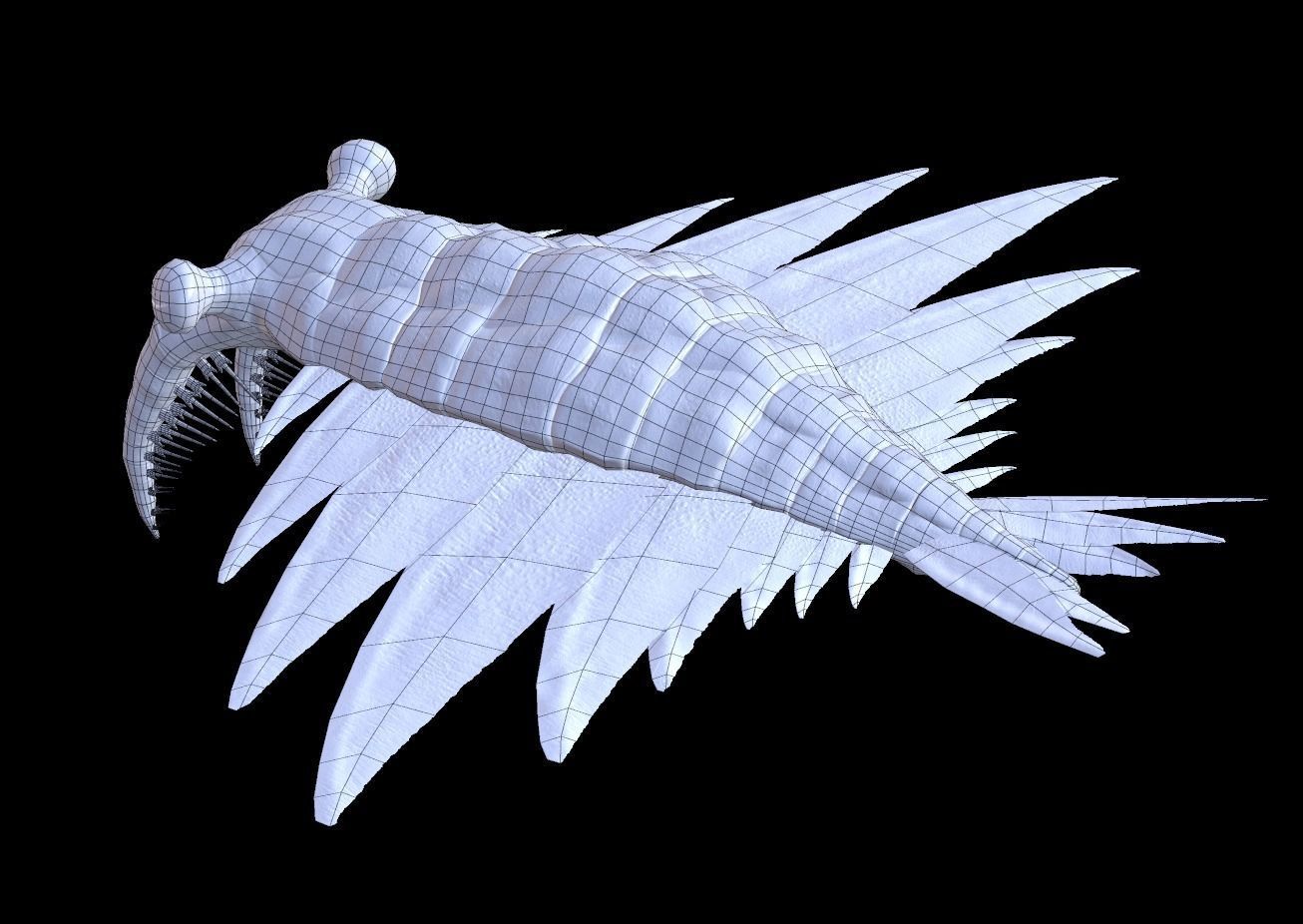 Anomalocaris Canadensis Low-poly 3D model_8