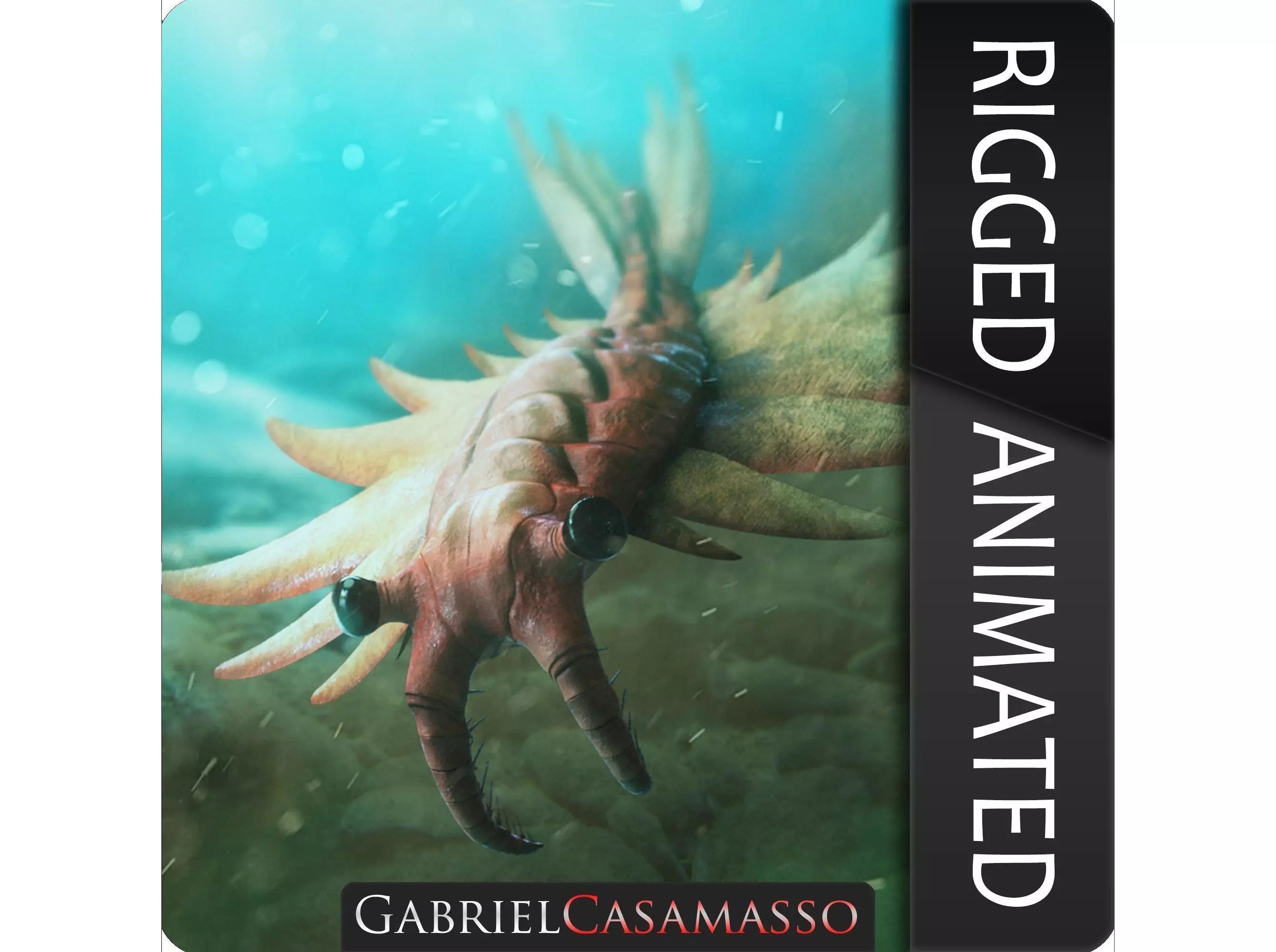 Anomalocaris Canadensis Low-poly 3D model_0