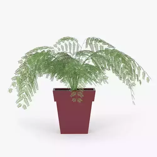 Frida Metal Planter 03