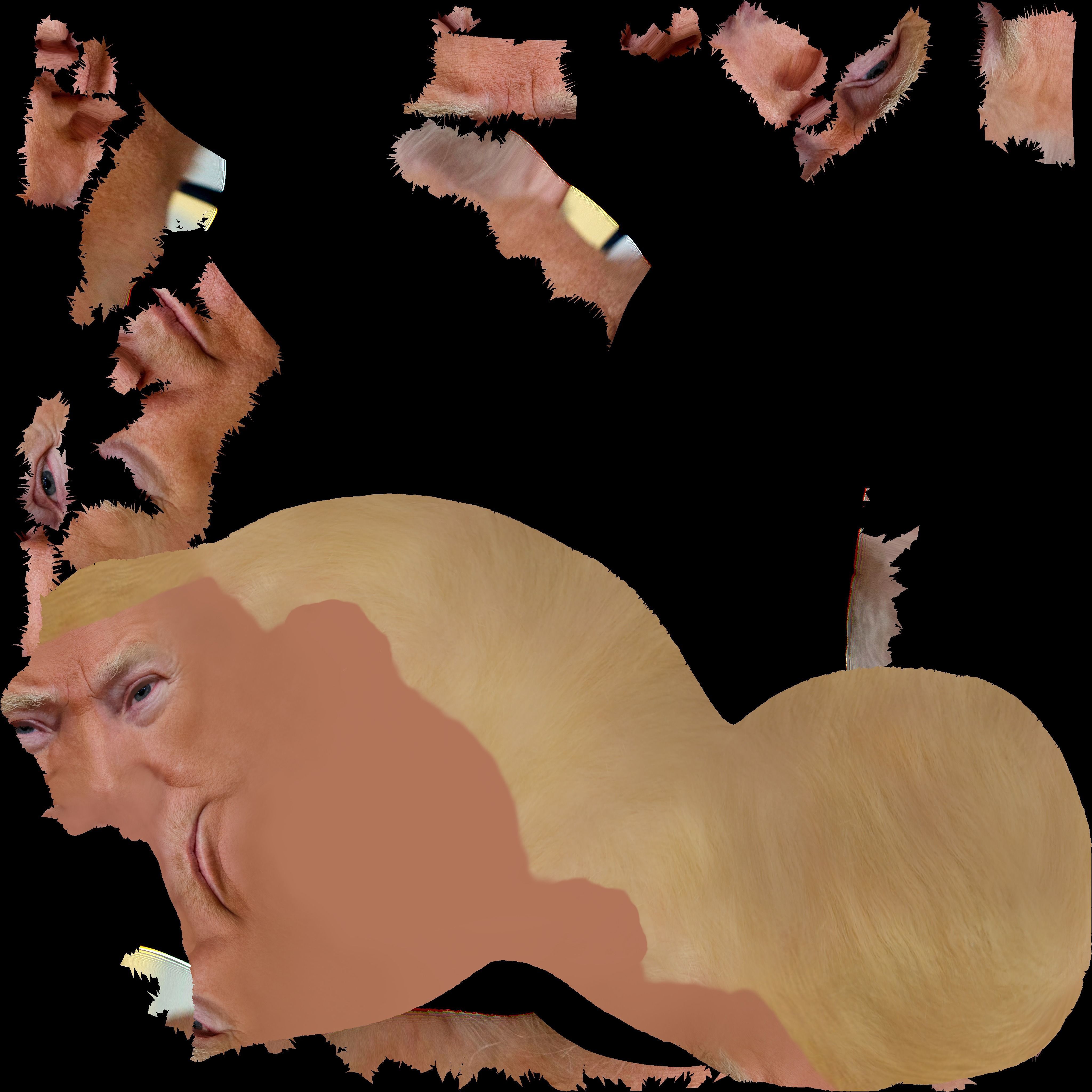 President Donald Trump 3D model_49
