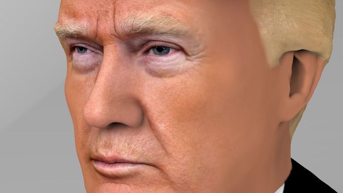 President Donald Trump bust ready for full color 3D printing 3D print model_8