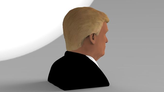 President Donald Trump bust ready for full color 3D printing 3D print model_14