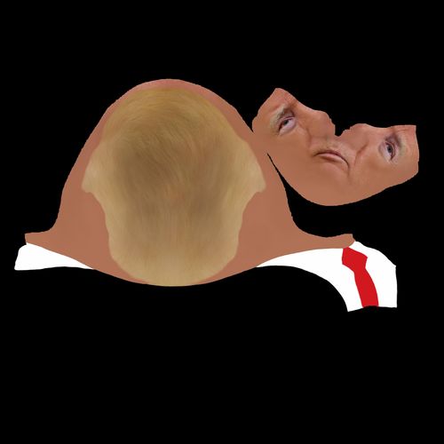 President Donald Trump bust ready for full color 3D printing 3D print model_56