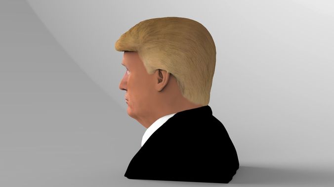 President Donald Trump bust ready for full color 3D printing 3D print model_9