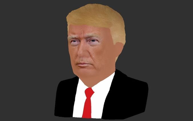 President Donald Trump bust ready for full color 3D printing 3D print model_27