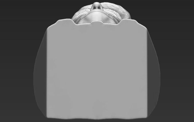 President Donald Trump bust ready for full color 3D printing 3D print model_48