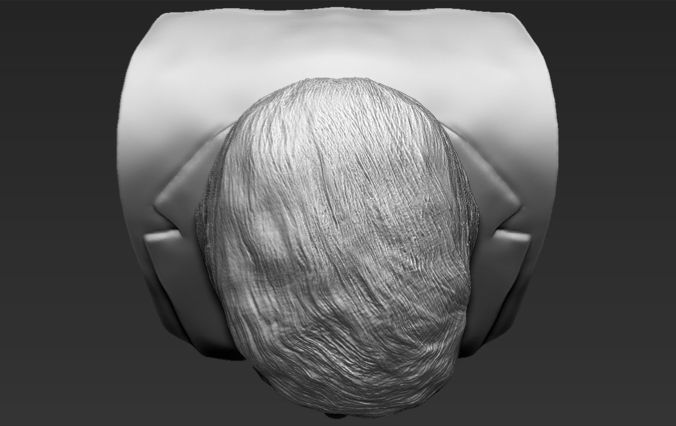 President Donald Trump bust ready for full color 3D printing 3D print model_52