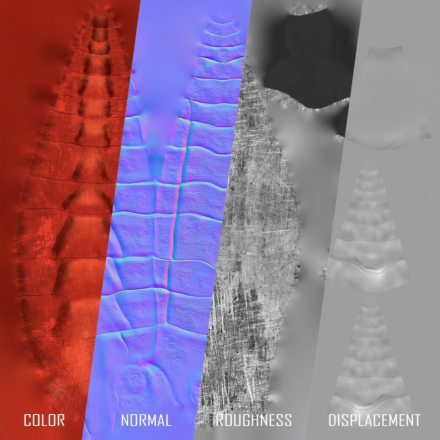 Anomalocaris Canadensis Static 3D model_6