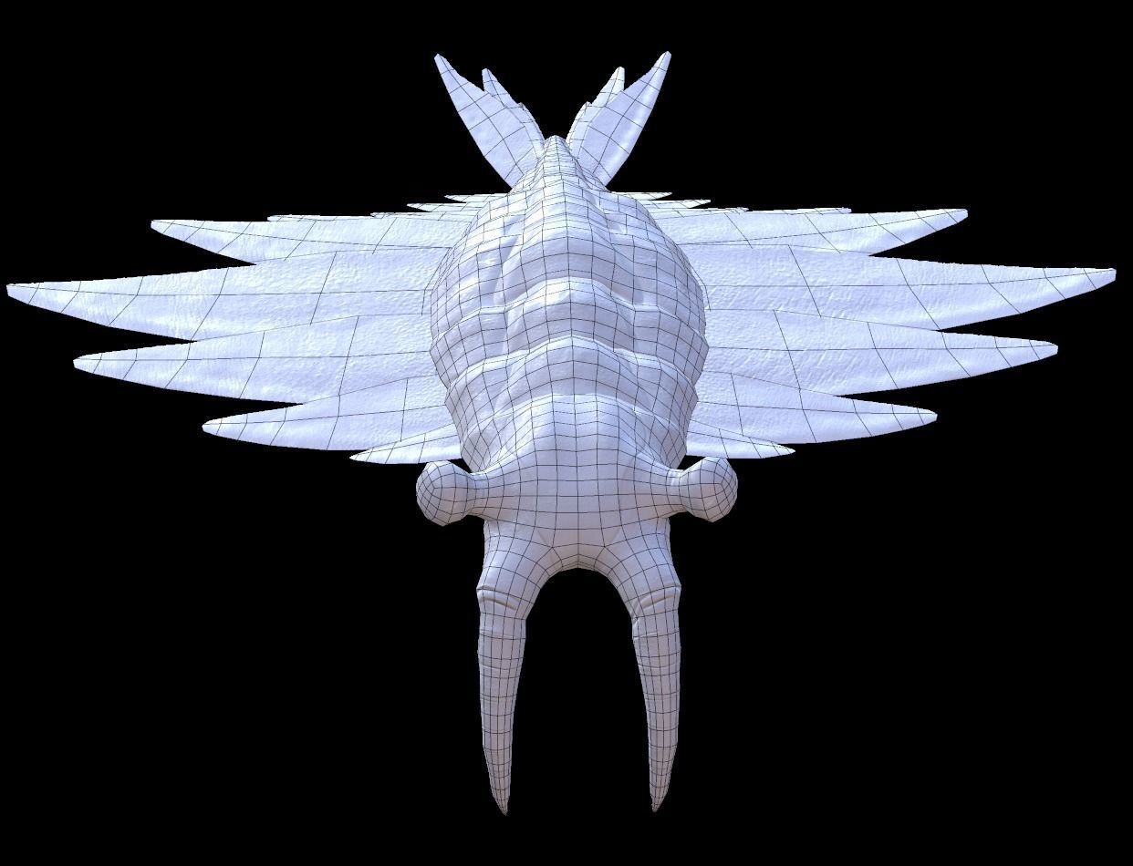 Anomalocaris Canadensis Static 3D model_9