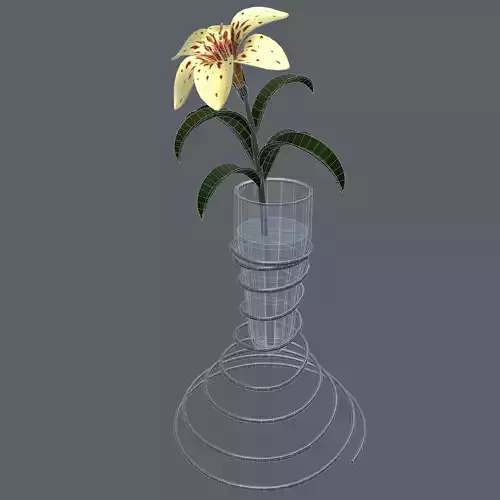 Lily in vase