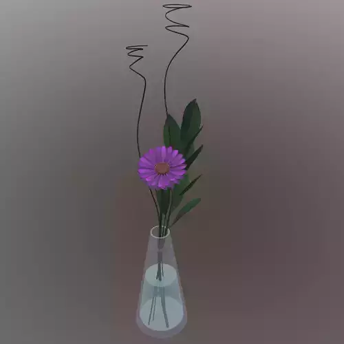 Gerbera daisy in vase