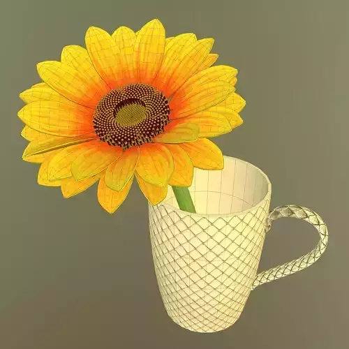Sunflower in cup