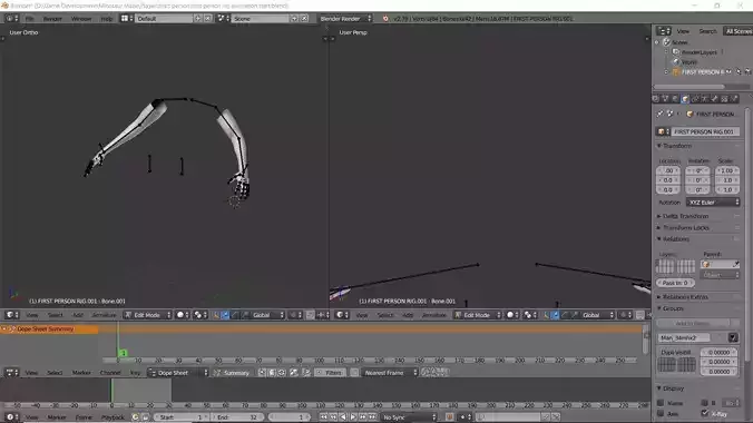 First Person rig setup