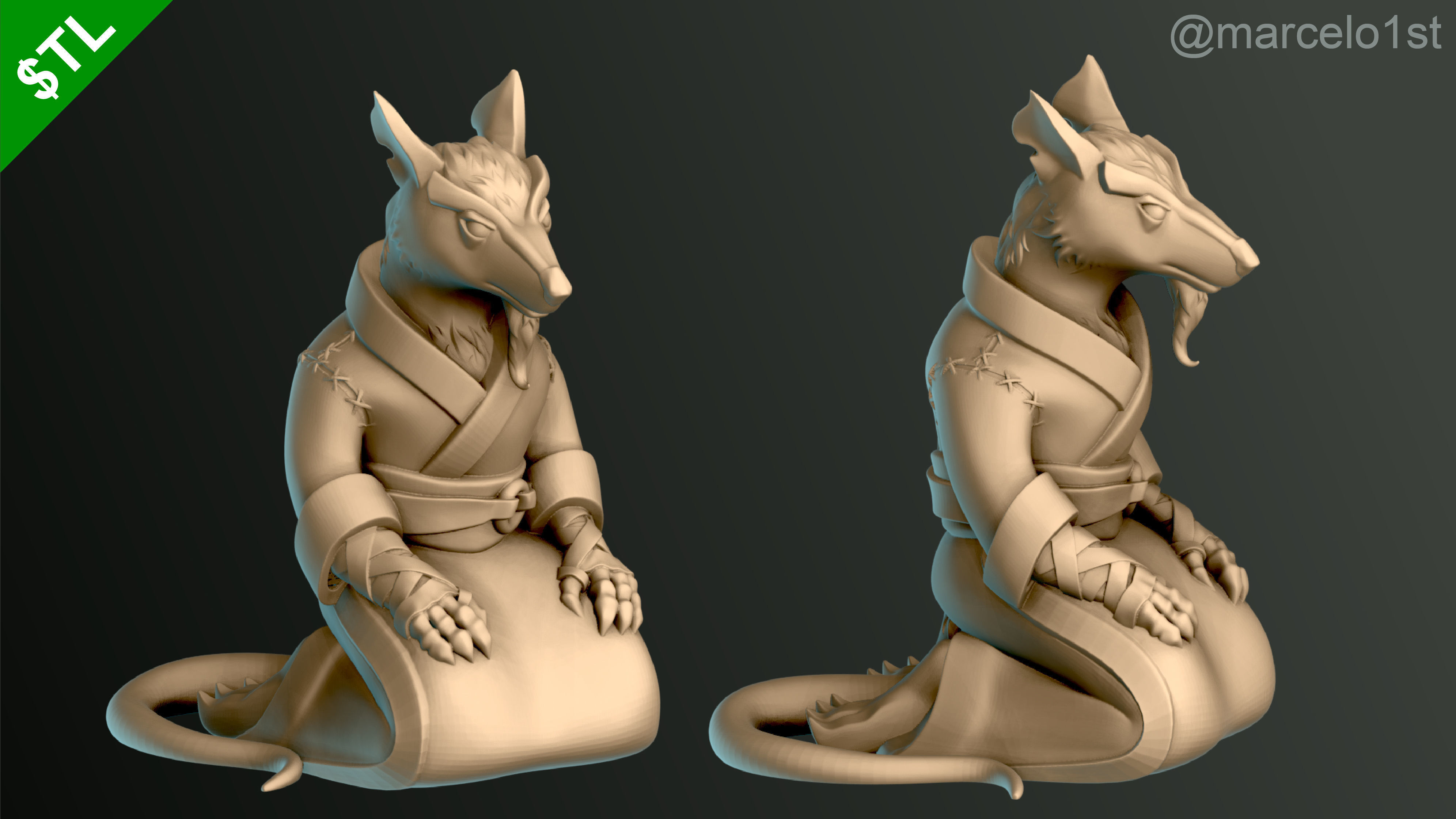 Turtle Warrior Set and Master 3D print model_6