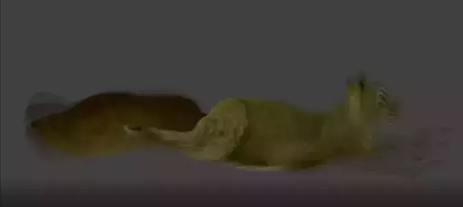 squirel rigged Low-poly 3D model