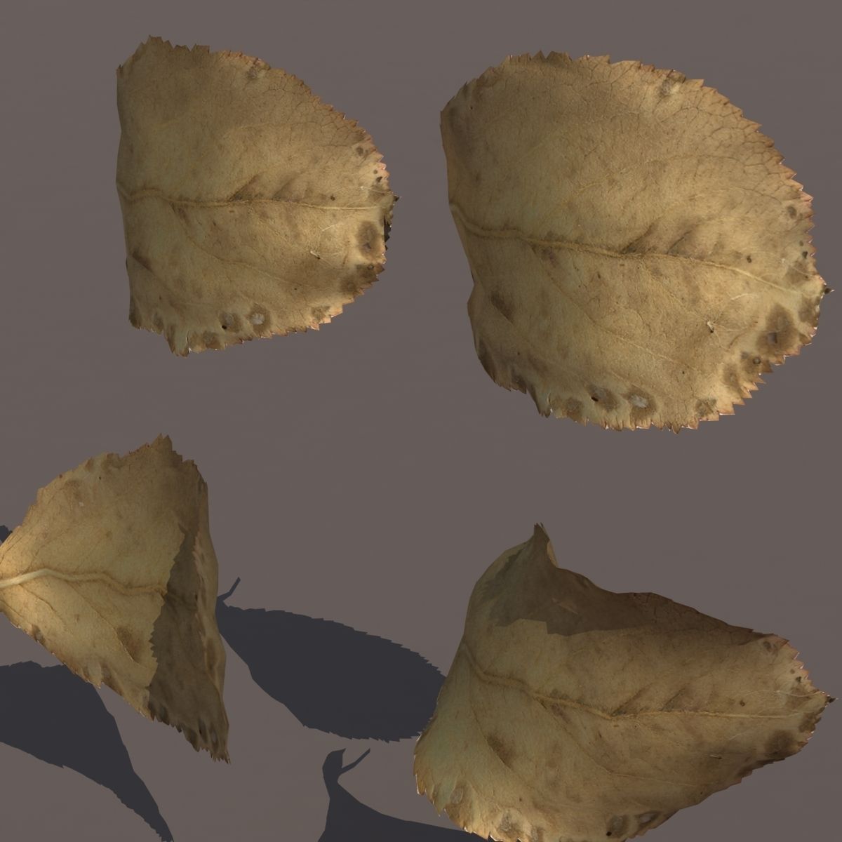 Autumn Fall Leafs PACK Low Poly 3d Model Low-poly 3D model_10